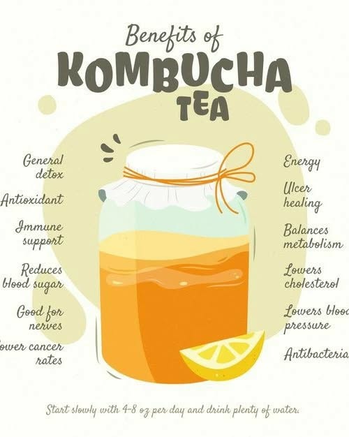 Kombucha Kombucha