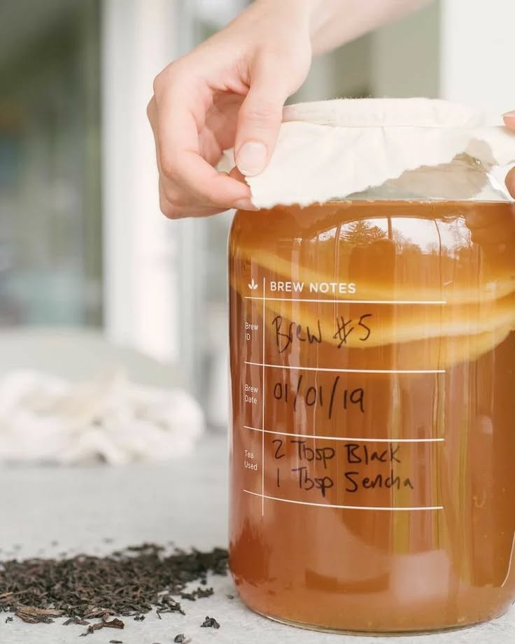 Kombucha