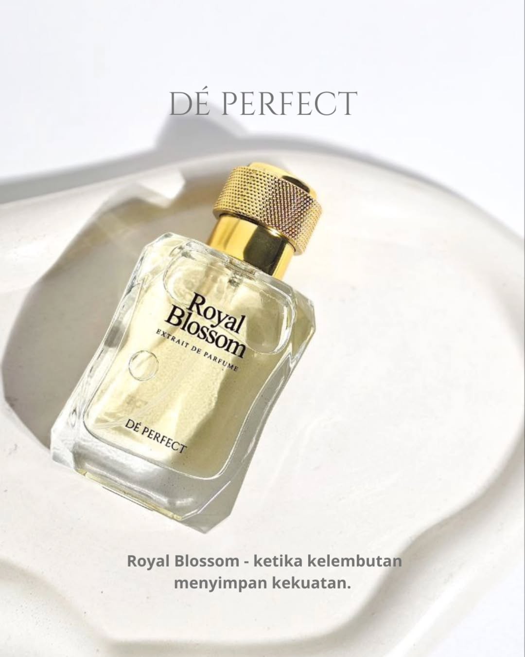 Ketika Kelembutan Menyimpan Kekuatan ketika kelembutan menyimpan kekutan